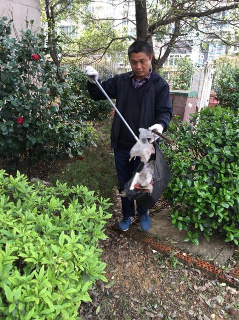 控制鼠害、预防疾病，，，，构建协调文明社区